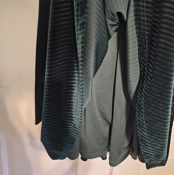 Emerald Green Velvet Striped Dress - Picture 6 of 6